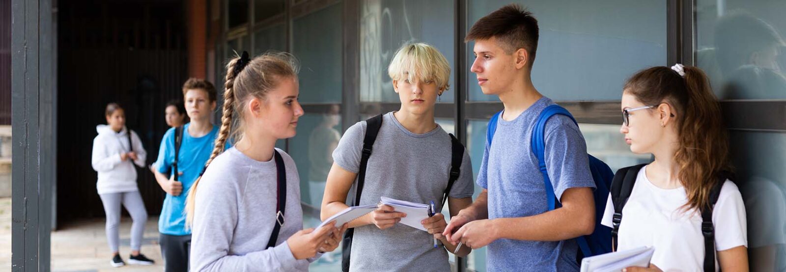 A group of young people standing in front of the school building and chatting.