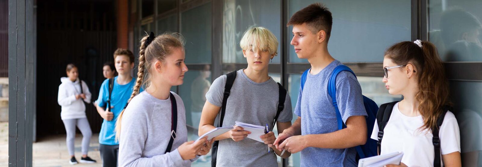 A group of young people standing in front of the school building and chatting.