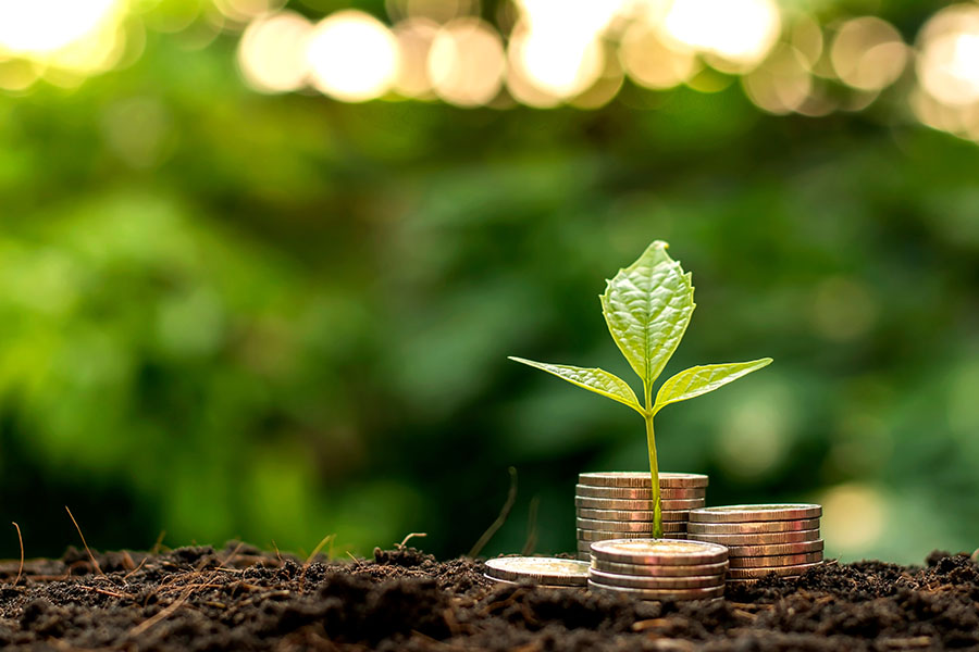 ALT-Text und Autor des Beitragfotos: Ein Sämling wächst in der Erde zwischen viel unterschiedlich hohen Münzstapeln, den Hintergrund bildet leuchtendes verschwommenes Blattwerk.